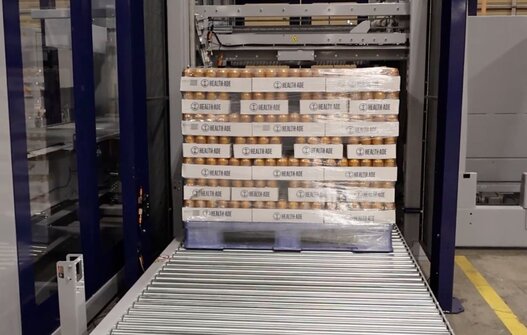 7 Challenges of Palletizing in Cold Storage Facilities 